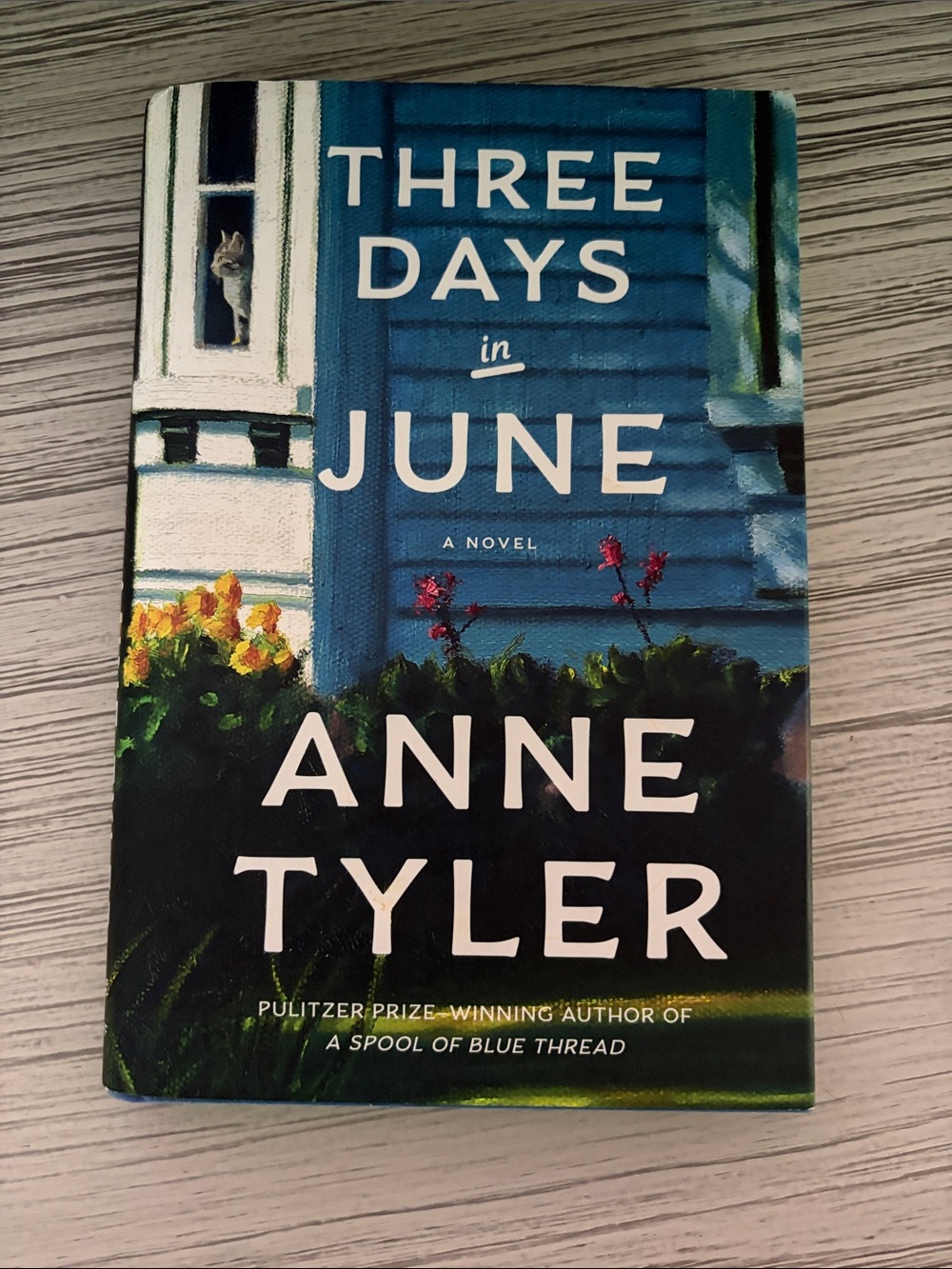 🩵Three Days in June by Anne Tyler - Blue Cover Paperback